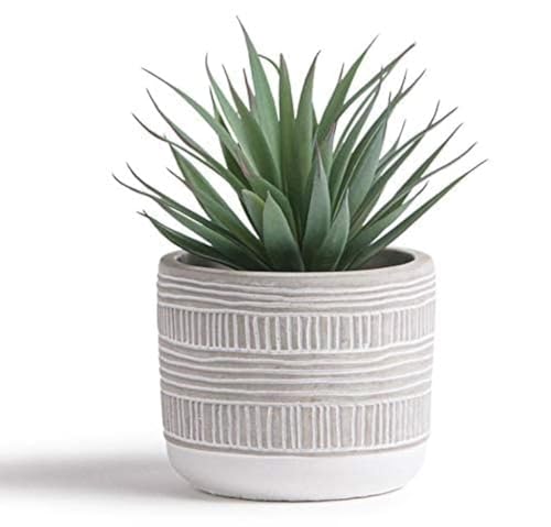 Kurrajong Farmhouse Artificial Plant | 8" Fake Plant for Desk Decor | Artificial Succulent in Pot | Fake Succulent | Faux Plant Indoor | Artificial Greenery for Shelf Decor