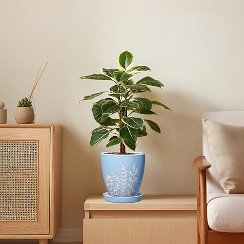 6 Inch Ceramic Plant Pot with Saucer - Small Flower Pot with Drainage for Succulents & Herbs, Boho Desk Home Office Room Decor, Plant Lovers Gifts, Blue - size: 6 Inch
