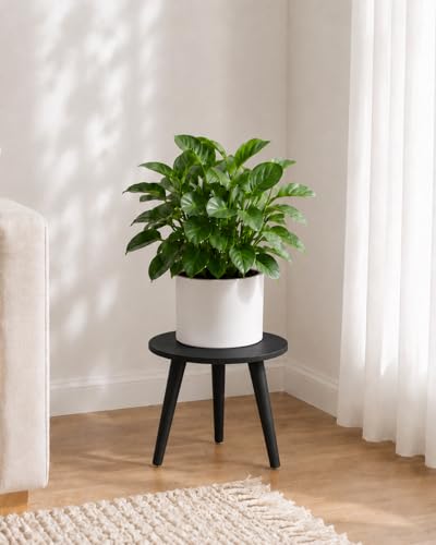 Bamworld Black Plant Stand Indoor Small Plant Table Wood Plant Stool | Flower Stand for Large Plant Single Plant Holder for Bedroom Living Room Home Office - color: Black Short