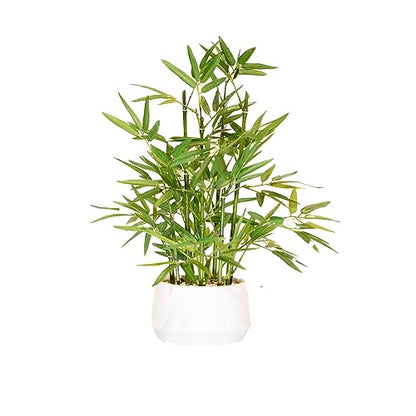 365 Blooming Decor 18 inch Tall White Potted Artificial Bamboo Plant- Luxury Artificial Bamboo Tree in White Pot for Home, Office, Kitchen, Counter Top, Indoor Decor, Money Tree, Lucky Tree.