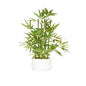 365 Blooming Decor 18 inch Tall White Potted Artificial Bamboo Plant- Luxury Artificial Bamboo Tree in White Pot for Home, Office, Kitchen, Counter Top, Indoor Decor, Money Tree, Lucky Tree.