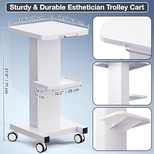 Noverlife Esthetician Trolley Cart, 220lbs Load, Beauty Salon Trolley Stand | All-metal Carbon Steel Body, Silent 360°Casters with Locking Brakes, Esthetician Rolling Cart for Spa Machines - color: Classic - White