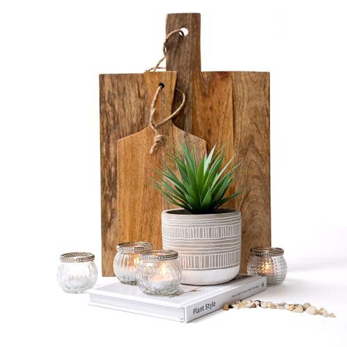 Kurrajong Farmhouse Artificial Plant | 8" Fake Plant for Desk Decor | Artificial Succulent in Pot | Fake Succulent | Faux Plant Indoor | Artificial Greenery for Shelf Decor