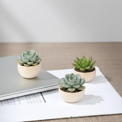 3PCS Wood Air Plant Holder, Rustic Style Airplant Display Stands, Air Plant Pots for Women Gifts Home Office Tabletop Decor