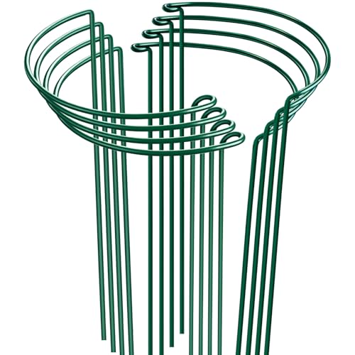 HiGift Peony Cages and Supports 24" H x 10" W, 8 Pack Tall Snake Plant Support Stake Half Round Metal Garden Stake for Indoor and Outdoor Plants, Flower Support Ring Border for Tomato,Hydrangea,Rose - size: 10"W x24"H