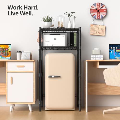 Hodonas Mini Fridge Stand with Adjustable Shelf, 2 Tier Storage Rack Organizer for Refrigerator & Microwave, Storage Shelves and Space Saver for Dorm Room, Office, Kitchen, Apartment, Garage, Black