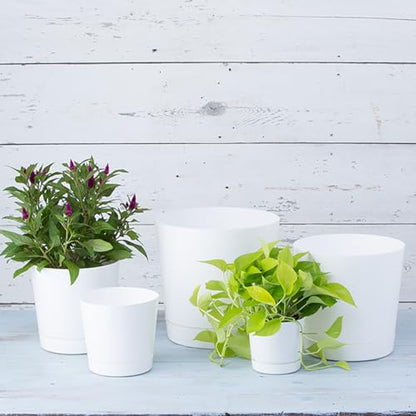 Novelty Majestic Full Depth Cylinder Pot, Glossy White, 10-Inch (10102) - color: White, size: 10 Inch