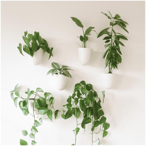 Make Good PlantPod Luxe - Self-Watering Wall Planters (Set of 6) - Easy to Water and Install - Lightweight - Design Your Own Vertical Garden - Wall Planters for Indoor Plants - color: White