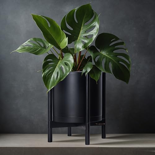 D'vine Dev Plastic Pot with Ebony Wood Stand, Black, 12 in, 55-C-Q-2 | Mid-Century Inspired Design, Elevated Plant Display, Clean Lines, Sturdy Support, Modern Space-Saving Style - color: Matte Black Pot + Ebony Stand, size: 12 Inch
