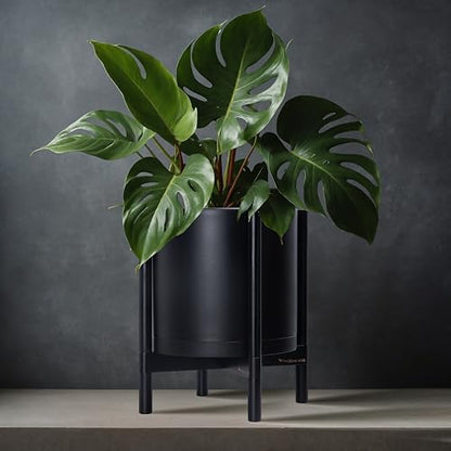 D'vine Dev Plastic Pot with Ebony Wood Stand, Black, 12 in, 55-C-Q-2 | Mid-Century Inspired Design, Elevated Plant Display, Clean Lines, Sturdy Support, Modern Space-Saving Style - color: Matte Black Pot + Ebony Stand, size: 12 Inch