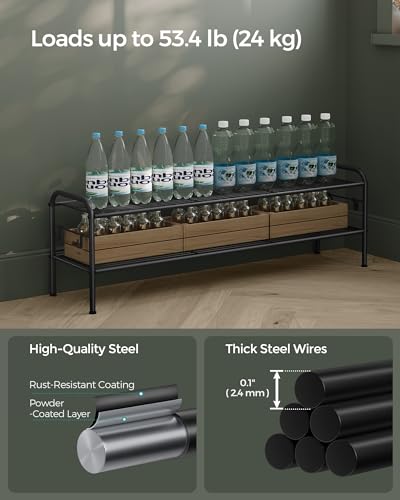 SONGMICS Shoe Rack, 2-Tier Shoe Organizer, Metal Shoe Shelf Storage with 4 Side Hooks, Holds 18 Pairs of Shoes, Height-Adjustable Shoe Rack for Entryway, Hallway, Closet, Ink Black ULMR121B01 - size: 2 Tiers (44.9"W)