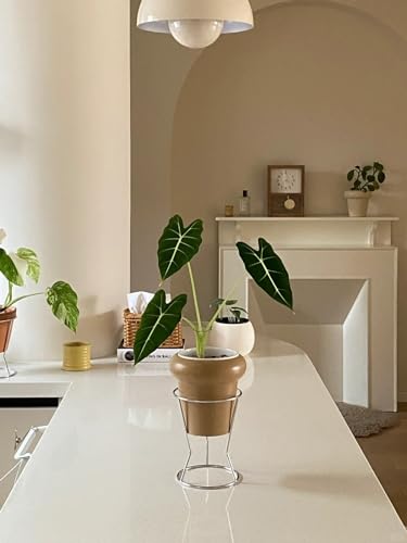 RISEON 2 Pack Mid Century Modern Simple Small Plant Stand Metal Flower Display Stand- Round Decorative Flower Shelf Rack Garden Plant Pot Riser Holder Modern Desk Plant Stand for Indoor Outdoor Home Patio Decor