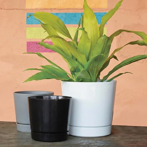 Root & Vessel Majestic Full Depth Round Cylinder Pot, Glossy Gray, 10-Inch (10100) - color: Gray, size: 10 Inch