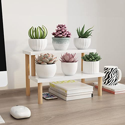 Small Plant Stand Indoor Ladder Shelf Desk, 2 Tiers Desktop Flower Stand Window Sill ,Wood Display Stand for Succulent Cupcake Spice Rack Countertop ( White, 14.2") - size: 2 Tiers