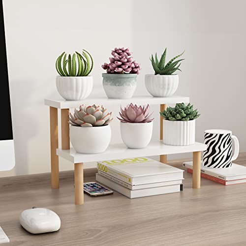 Small Plant Stand Indoor Ladder Shelf Desk, 2 Tiers Desktop Flower Stand Window Sill ,Wood Display Stand for Succulent Cupcake Spice Rack Countertop ( White, 14.2") - size: 2 Tiers