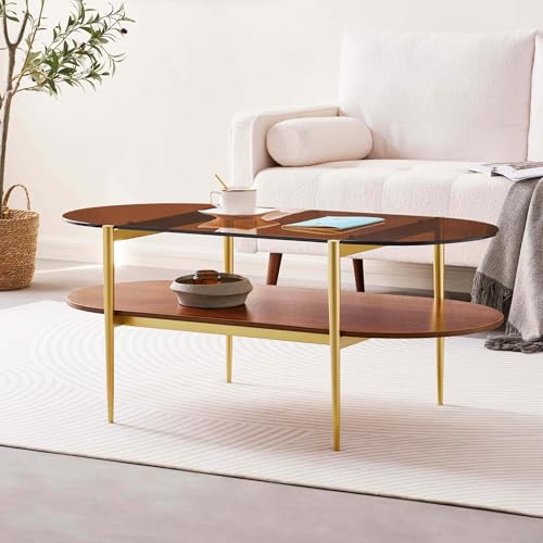 LumFurn Oval Glass Coffee Table, Mid-Century Modern Design, L41 x W21 x H17 inch, for Living Room, 2-Tier Structure, Amber Glass Top and Walnut Finish Wood Shelf, Conical Legs with Gold Finish Frame - color: Amber & Walnut, size: L41" Oval Coffee Table