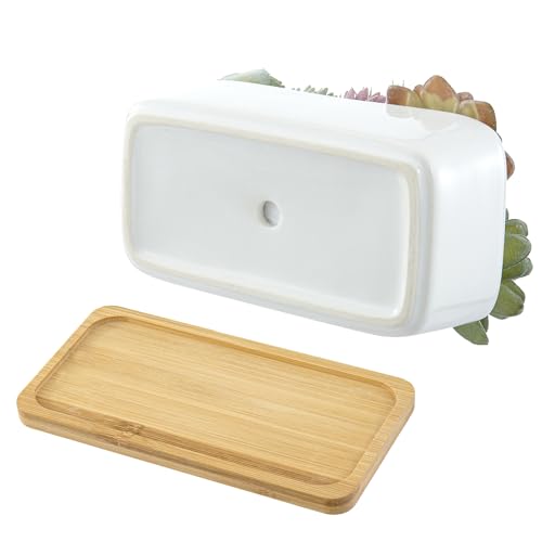 MyGift Assorted Artificial Succulent Plant Arrangement Potted in White Ceramic Planter Pot with Removable Bamboo Tray - color: White Ceramic & Bamboo