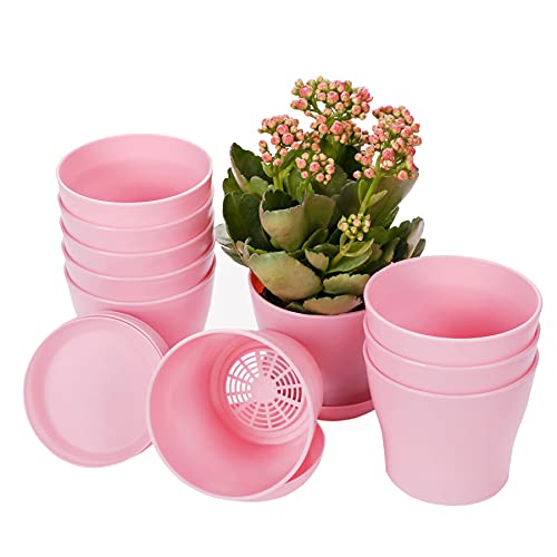 TDHDIKE 10 Pcs Plastic Planters Indoor Flower Plant Pots, Mini Flower Seedlings Nursery Pot/Planter/Flower Pot with Pallet, Modern Decorative Gardening Containers (Pink) - color: Pink