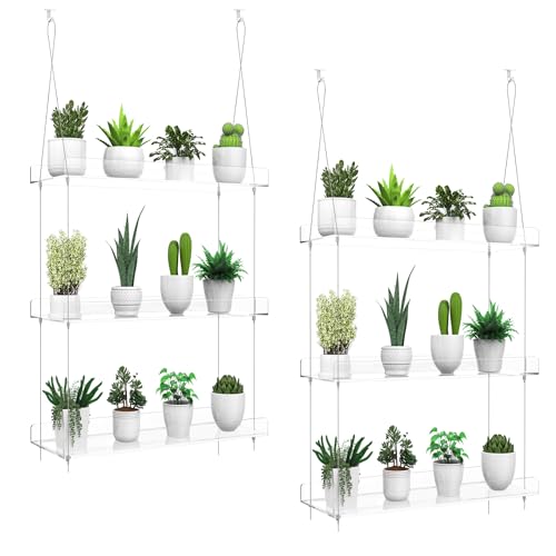 2-Pack 3-Tier Clear Acrylic Hanging Window Plant Shelves for Indoor Use | Wall-mounted plant shelves for herbs, seedlings, flowers and potted plants. Maximizes window space for indoor growing. - size: 2 Pack-3 Tier