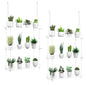 2-Pack 3-Tier Clear Acrylic Hanging Window Plant Shelves for Indoor Use | Wall-mounted plant shelves for herbs, seedlings, flowers and potted plants. Maximizes window space for indoor growing. - size: 2 Pack-3 Tier