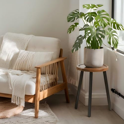 2-Pack Wood Plant Stands Indoor, 16.7" Tall Plant Stand Outdoor Mid-Century Plant Stool, Single Plant Table Modern Small Round Side/End Table for Living Room, Balcony, Office(Brown) - color: Brown Tray with Black Legs-2Pack