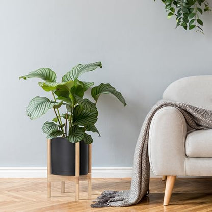 D'vine Dev Plastic Pot with Natural Wood Stand, Black, 10 in, 55-C-M-2 | Mid-Century Inspired Design, Elevated Plant Display, Clean Lines, Sturdy Support, Modern Space-Saving Style - color: Matte Black Pot + Natural Stand, size: 10 Inch