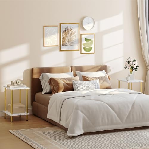 HOOBRO End Tables Set of 2, Small Side Table, Nightstand with 2-Layer Storage Shelves, Sofa Table for Small Spaces, Living Room, Bedroom, Stable Frame, Easy Assembly, Gold and Marble DM09BZP201 - color: Marble + Gold