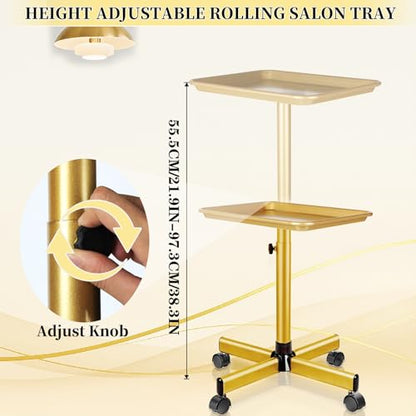 Salon Tray on Wheels, Gold Salon Rolling Tray with Adjustable Height | Tattoo Rolling Tray,Hair Stylist Tray, Suitable for Tattoo Tray and Dental Tray - color: Golden