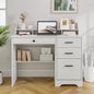 4 EVER WINNER White Desk with Drawers, Small Desk with File Drawer for Small Spaces, Writing Desk with Monitor Stand Wood Table for Study Home Office, White - color: White