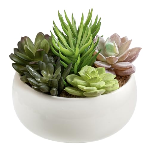 MyGift 6 Inch Round Modern Artificial Succulent Arrangement Potted in White Ceramic Plant Bowl, Assorted Faux Mini Succulents in a Decorative Planter Pot - color: White