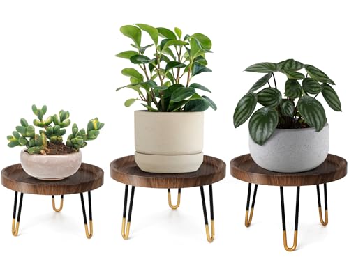 OBTAIN Plant Stand Indoor Outdoor,3 Set Mid Century Style Walnut Wood Color Plant Stand,Waterproof Design Modern Plant Table,Easily Assemble Come With Tools,Nice For Room Decor (S,M,L) - size: 3 Set (S, M, L)