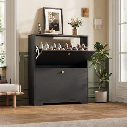 Nicetree Shoe Cabinet with 2 Flip Drawers, Narrow Shoe Organizer Cabinet, Freestanding Shoe Rack Cabinet, Modern Shoe Storage Cabinet for Entryway, Hallway, Foyer, Black - color: Black, style: 2-Drawers