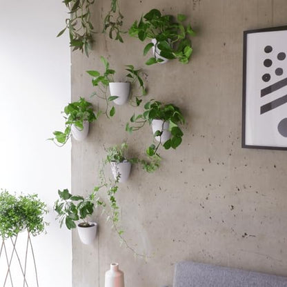 Make Good PlantPod Luxe - Self-Watering Wall Planters (Set of 6) - Easy to Water and Install - Lightweight - Design Your Own Vertical Garden - Wall Planters for Indoor Plants - color: White