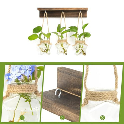 XXXFLOWER Wall Hanging Propagation Station with 3 Star-Shaped Glass Vase | Hanging Plant Holder for Hydroponics, Living Room Office Bathroom Wall Decoration, Unique Gardening Gifts for Plant Lover - size: 3 Star-Shaped Glass Vases