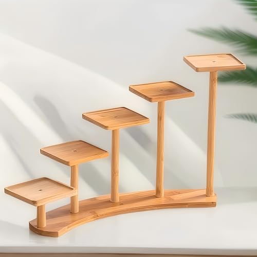5 Tiers Desk Plant Stand Window Sill Plant Shelf Tabletop Succulent Stand Flower Pot Stand Holder Desktop Plant Stand Indoor Plant Rack for Succulent Herb in Living Room Office (Square) - size: Square