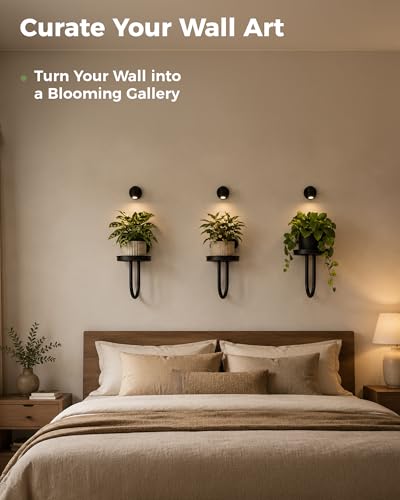 Bamworld Wall Decor Plant Stand with Lights Wall Art Planters Window Plant Hanger Indoor Hanging Planters for Indoor Plants for Living Room Black