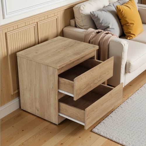 Nightstand with Drawers, Bedside Table with Drawers, Sofa Side Table Storage Cabinet, Night Stand for Bedroom Living Room (1, 2 Drawers Nature, 19.7" W×15.6" D×18.9" H) - color: 2 Drawers Nature