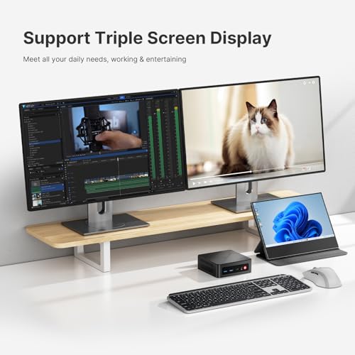 C4 Mini PC 11 Pro, Ryzen 5 3500U Desktop Computer Dual 1000Mbps NIC LAN, 16GB RAM 512GB SSD Micro PC, WiFi 5, BT 5.0, Triple Display, PC for Home Theater, Office - color: Jet Black
