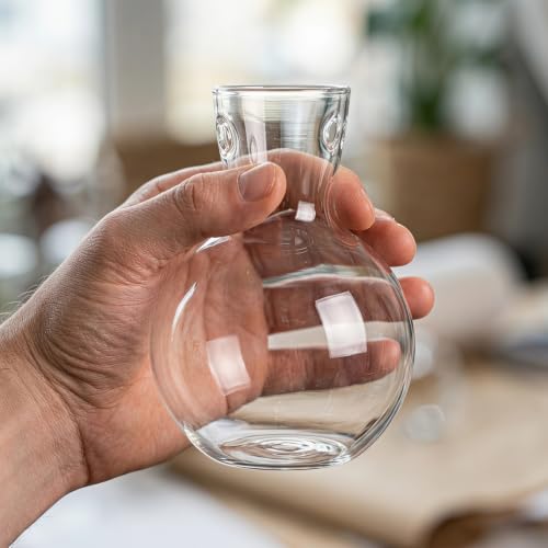 Toddmomy Clear Glass Planters 2Pcs Hydroponic Glass Vase for Indoor Plants Terrarium Plants Flower Holder Suspended Vase Decor for Home Office Table Centerpieces