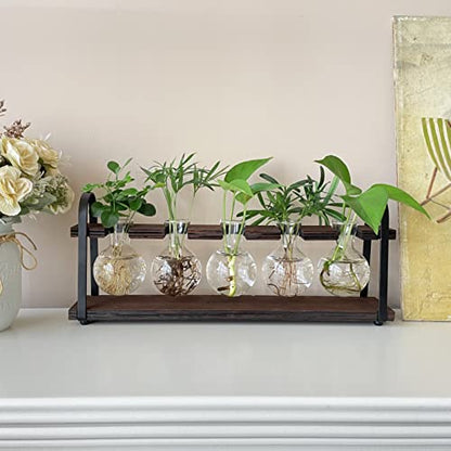 THYGIFTREE Plant Propagation Stations with Wooden Stand | Desktop Retro Plant Terrarium, Bulb Vase for Indoor Hydroponic Flowers, Tabletop Glass Planter - color: Dark Brown