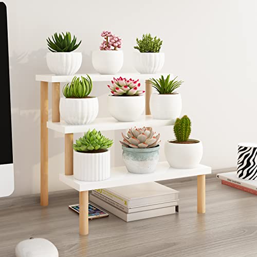 Windowsill Plant Stand Shelf 3 Tiers Desktop Organization and Storage Shelf Bathroom Countertop Corner Cupcake Display Stand for Table Wood Ladder,White - size: 3 Tiers