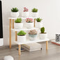 Windowsill Plant Stand Shelf 3 Tiers Desktop Organization and Storage Shelf Bathroom Countertop Corner Cupcake Display Stand for Table Wood Ladder,White - size: 3 Tiers