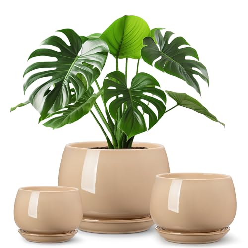 vancasso 3-Pack Ceramic Plant Pots, 3.7/4.8/6.2 Inch Indoor Planters with Saucers & Drainage Hole Planter pots for Indoor Plants and Flower, Brown - color: Brown, size: Small-3pcs/Set