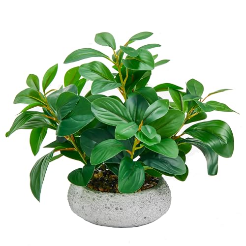 K&Y Realistic Artificial Potted Plants Olive Wild Fern Berry Decor Low Maintenance Faux Greenery Indoor Fake Plants for Home Office Bathroom Kitchen Desk Shelf (Gray Flowerpot Potted Plant) - color: Gray Flowerpot Potted Plant
