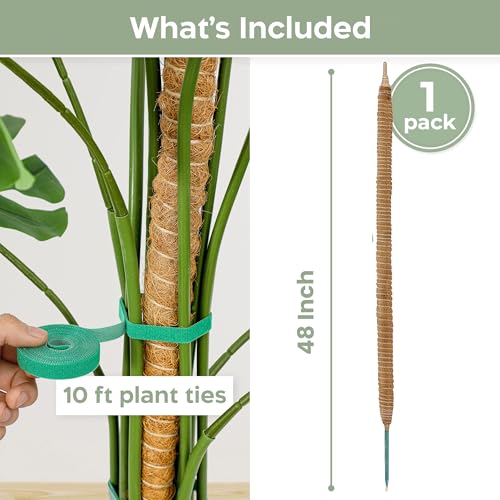K-Brands 48'' Bendable Moss Pole Monstera Plant Support - Coconut Palm Fiber - Brown - Rectangular - Climbing Plant Support Structure - size: 1-Pack (48 in)