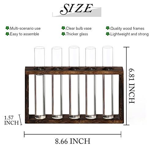 XXXFLOWER 5Test Tube Plant Propagation Station Plant Terrarium Wooden Stand | Glass Planters for Indoor Plants,Plant Lover Gifts for Women Mom Wife Daughter,Garden Office Room Decoration - size: 5 Glass Tubes Vases