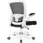 FelixKing Office Chair, Ergonomic Desk Chair Breathable Mesh Chairs Adjustable High Back Lumbar Support Flip-up Armrests, Executive Rolling Swivel Comfy Computer Chairs Home Office White - color: White