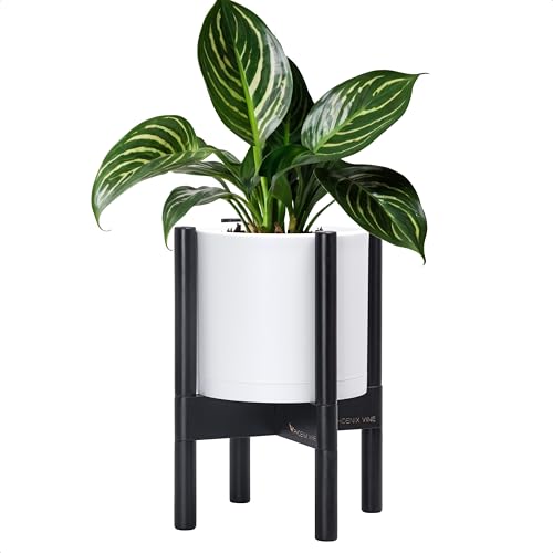D'vine Dev Plastic Pot with Ebony Wood Stand, White, 8 in, 55-C-K-1 | Mid-Century Inspired Design, Elevated Plant Display, Clean Lines, Sturdy Support, Modern Space-Saving Style - color: Matte White Pot + Ebony Stand, size: 8 Inch