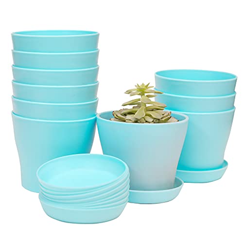 TDHDIKE 10 Pcs Plastic Planters Indoor Flower Plant Pots, Mini Flower Seedlings Nursery Pot/Planter/Flower Pot with Pallet, Modern Decorative Gardening Containers (Blue) - color: Blue