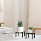 Mini Plant Stands 2-Pack, Small Metal Flower Pot Holder for Desktop, Modern Cross Shape Fit 2-6.5 Inch Pots, Succulent & Cactus Stand for Tabletop, Shelf, Indoor, Black - size: 2 Pack - Mini